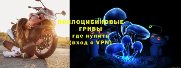ешки Лагань