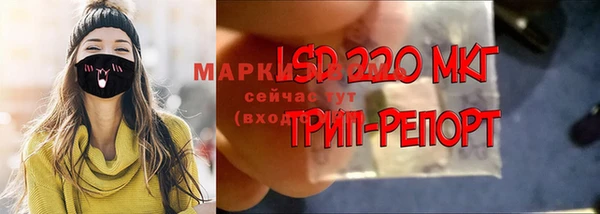 ГАЛЛЮЦИНОГЕННЫЕ ГРИБЫ Лабытнанги