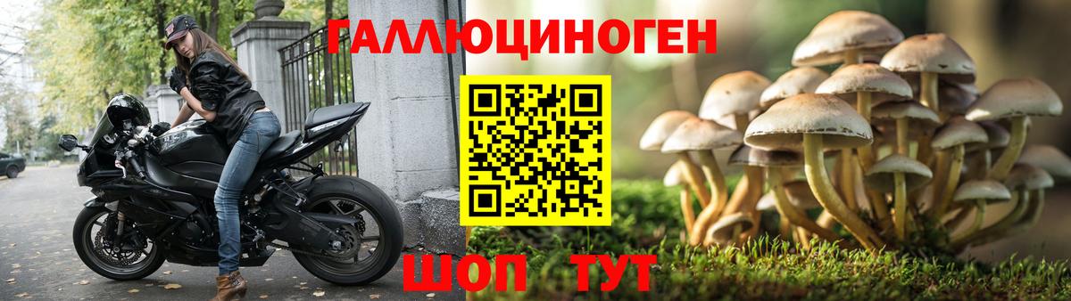 Псилоцибиновые грибы мухоморы Бирск