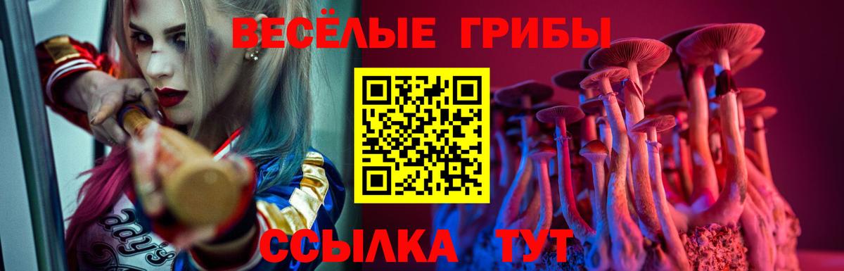 Меф  COCAIN  Кокаин  Бирск  Вход с VPN  ГАШИШ  Hash Oil  Каннабис  Канабис  Гашиш 